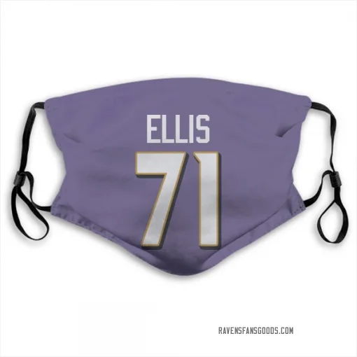 Justin Ellis Baltimore Ravens Purple Jersey Number & Name Face Mask